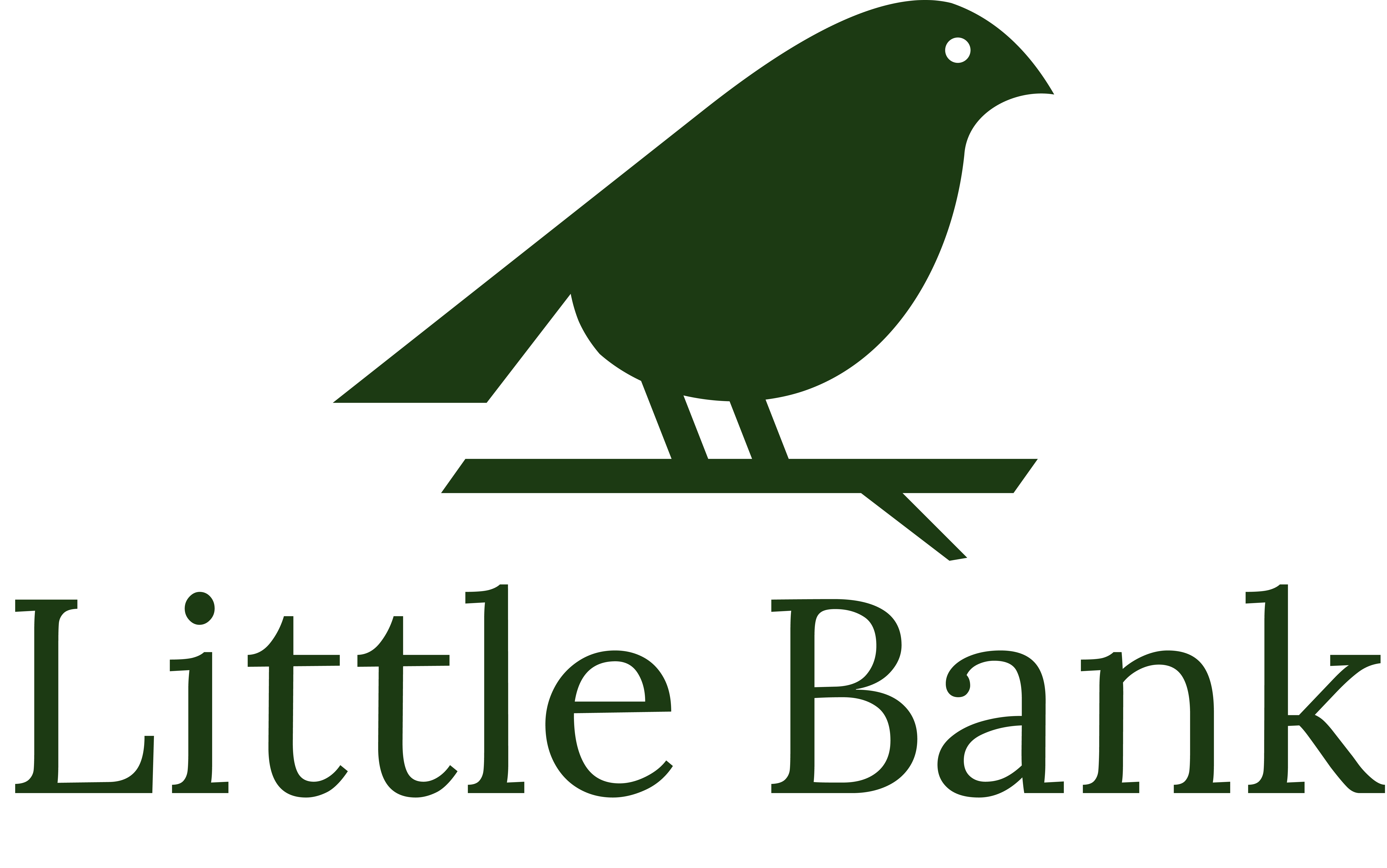 Little Bank